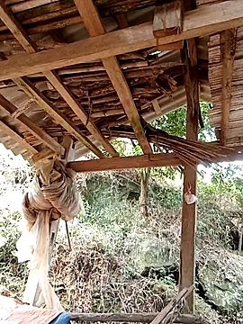 elen8800 online show from April 14, 2026, 4:07 am