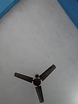 Snapshot of 67sanju chatting on February 25, 2026, 2:43 am 67sanju online show from February 25, 2026, 2:43 am