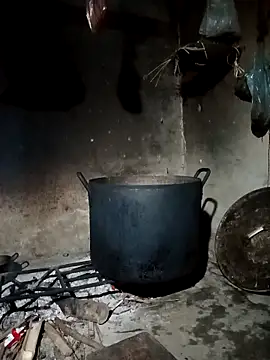 pic8800 online show from March 31, 2026, 7:09 am