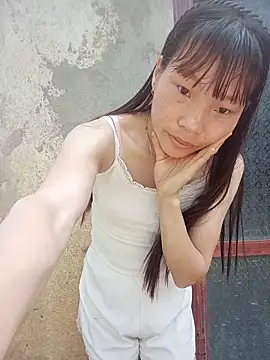 pic8800 online show from May 15, 2026, 11:56 pm
