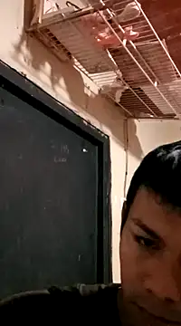 darwinmodell online show from March 8, 2025, 3:56 pm