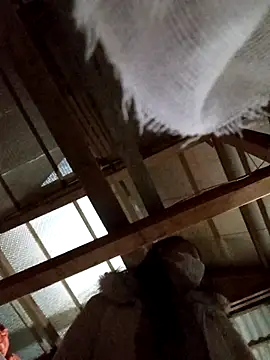 Heylen hooo online show from March 16, 2026, 2:32 pm