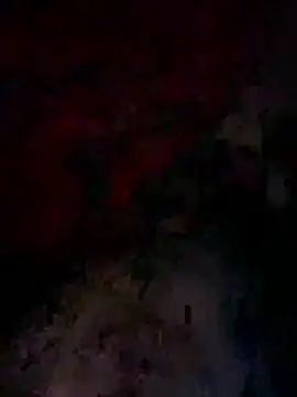 Snapshot of bwcyoussef chatting on February 27, 2026, 6:35 am bwcyoussef online show from February 27, 2026, 6:35 am