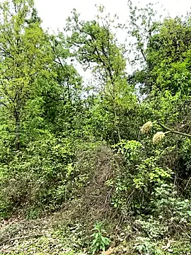 yin202601 online show from March 26, 2026, 6:08 am