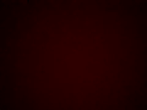 Snapshot of kiraa-007 chatting on May 28, 2026, 3:53 pm kiraa-007 online show from May 28, 2026, 3:53 pm