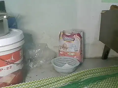 Fish sexy online show from March 28, 2026, 9:09 am