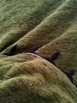 detasuta online show from March 7, 2026, 3:47 am