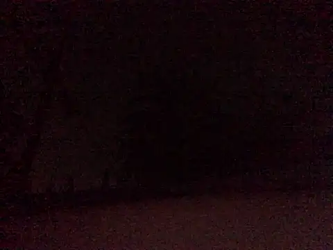 Donkie909 online show from April 9, 2026, 6:52 am