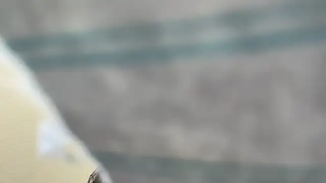 Snapshot of the-gen-xxx chatting on March 17, 2026, 11:08 pm the-gen-xxx online show from March 17, 2026, 11:08 pm