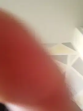 bitrans online show from July 12, 2026, 2:41 pm