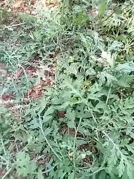 new sexy couple online show from March 13, 2026, 8:21 am