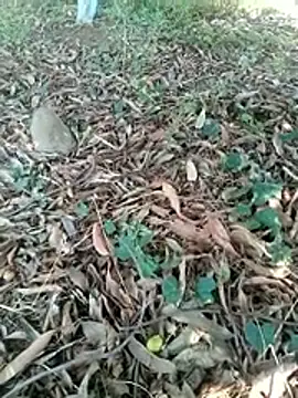 new sexy couple online show from April 7, 2026, 7:20 am