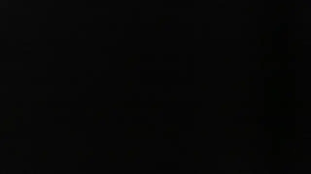 D dorman online show from May 25, 2026, 3:56 am