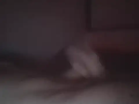 Snapshot of Foxmen9090 chatting on March 27, 2026, 4:29 am Foxmen9090 online show from March 27, 2026, 4:29 am