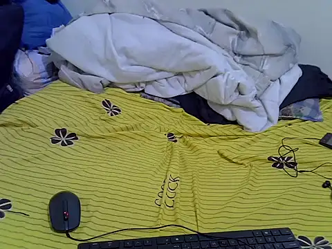 gundo15233 online show from March 23, 2026, 5:11 am