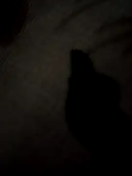 SEXY COUPLE65 online show from March 24, 2026, 9:03 am