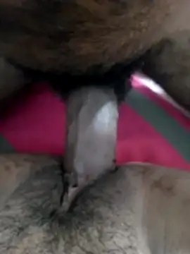 shenuteesha online show from March 26, 2026, 7:36 am