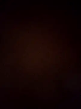 VENUSH STYLO online show from March 31, 2026, 4:40 pm