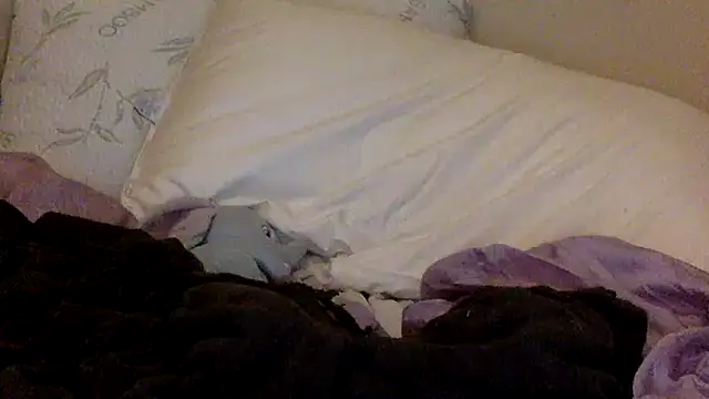 savannabanana online show from March 26, 2026, 3:34 am