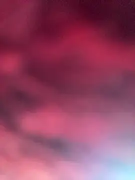 eu elisa online show from April 1, 2026, 5:32 pm