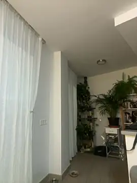 zensorial online show from April 23, 2026, 8:11 pm