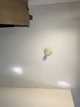 sanches 065 online show from April 6, 2026, 4:52 pm