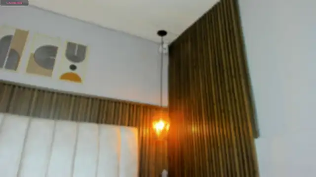 Snapshot of Hayami_Li chatting on June 10, 2026, 11:53 am Hayami Li online show from June 10, 2026, 11:53 am