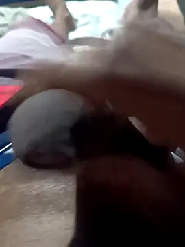 rogeriobastospqdt online show from April 16, 2026, 2:29 pm