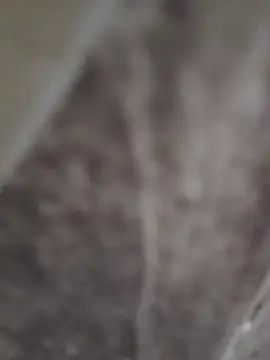 sk022 online show from April 15, 2026, 6:26 pm