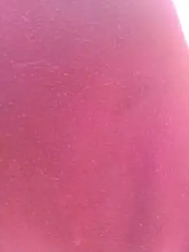bombasexual online show from May 6, 2026, 1:05 pm