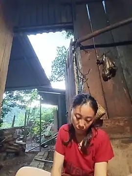 Jinli 01 online show from July 24, 2026, 11:52 am