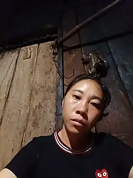 Jinli 01 online show from July 28, 2026, 9:36 pm