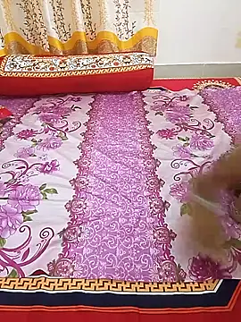 bristyislam online show from June 16, 2026, 5:37 pm