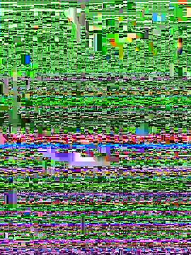 lickerete online show from July 21, 2026, 12:18 pm