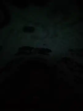sodahotsexy4 online show from July 20, 2026, 12:36 am
