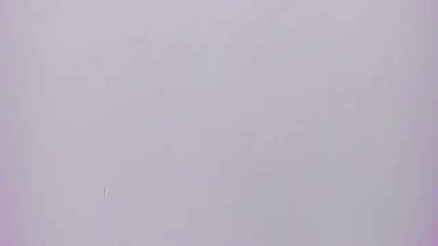 velvet girll online show from June 12, 2026, 7:02 pm