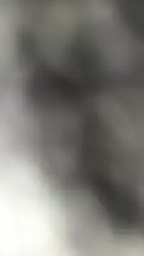 Snapshot of languste25 chatting on July 9, 2026, 12:09 pm languste25 online show from July 9, 2026, 12:09 pm