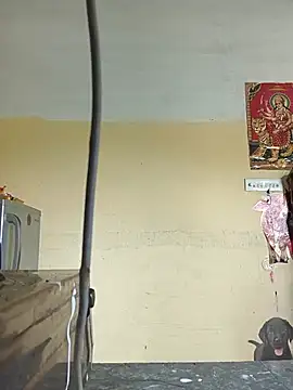 jyothi telugu online show from July 26, 2026, 7:26 am