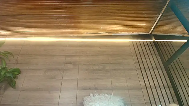 alys molly 11 online show from August 6, 2026, 11:12 am