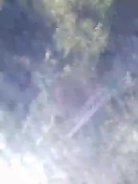Snapshot of Philebranleur chatting on July 6, 2026, 9:17 am Philebranleur online show from July 6, 2026, 9:17 am