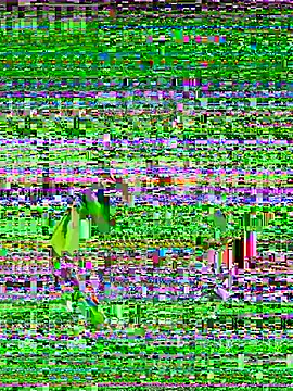 vanesssa rose online show from July 4, 2026, 11:11 pm