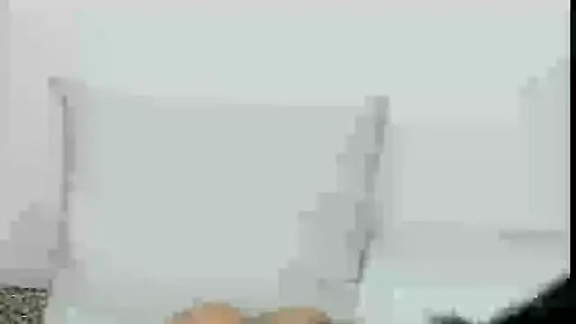 lorenfram online show from January 8, 2025, 7:56 pm