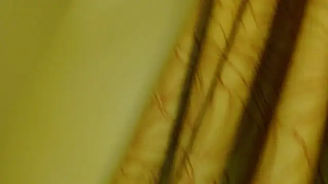 digbicku online show from October 12, 2025, 5:17 am