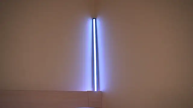 Liuba Fox online show from February 23, 2026, 7:33 pm