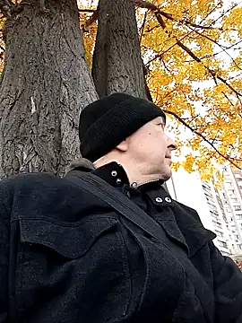 Pokaz2020 online show from October 29, 2025, 1:13 pm