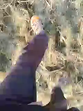 Snapshot of ThethunderPo chatting on December 19, 2024, 3:07 am ThethunderPo online show from December 19, 2024, 3:07 am