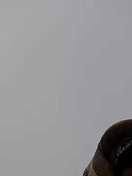 Snapshot of ThethunderPo chatting on December 27, 2024, 1:43 am ThethunderPo online show from December 27, 2024, 1:43 am