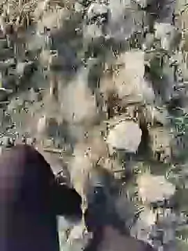 Snapshot of ThethunderPo chatting on January 19, 2025, 2:36 am ThethunderPo online show from January 19, 2025, 2:36 am