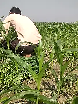 Snapshot of ThethunderPo chatting on March 3, 2025, 4:25 am ThethunderPo online show from March 3, 2025, 4:25 am