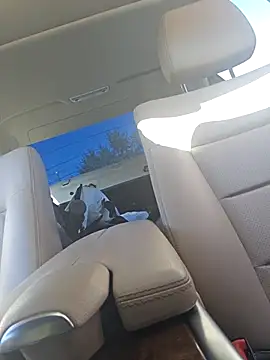 Snapshot of UncutHammer69 chatting on September 28, 2025, 4:12 pm UncutHammer69 online show from September 28, 2025, 4:12 pm